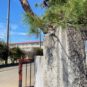 周辺 福原中学校まで約１１００ｍ